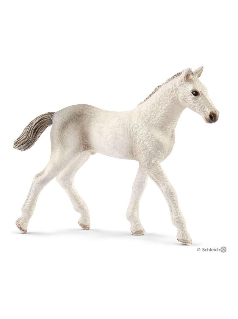 Poulain Holstein N/A - Kiabi