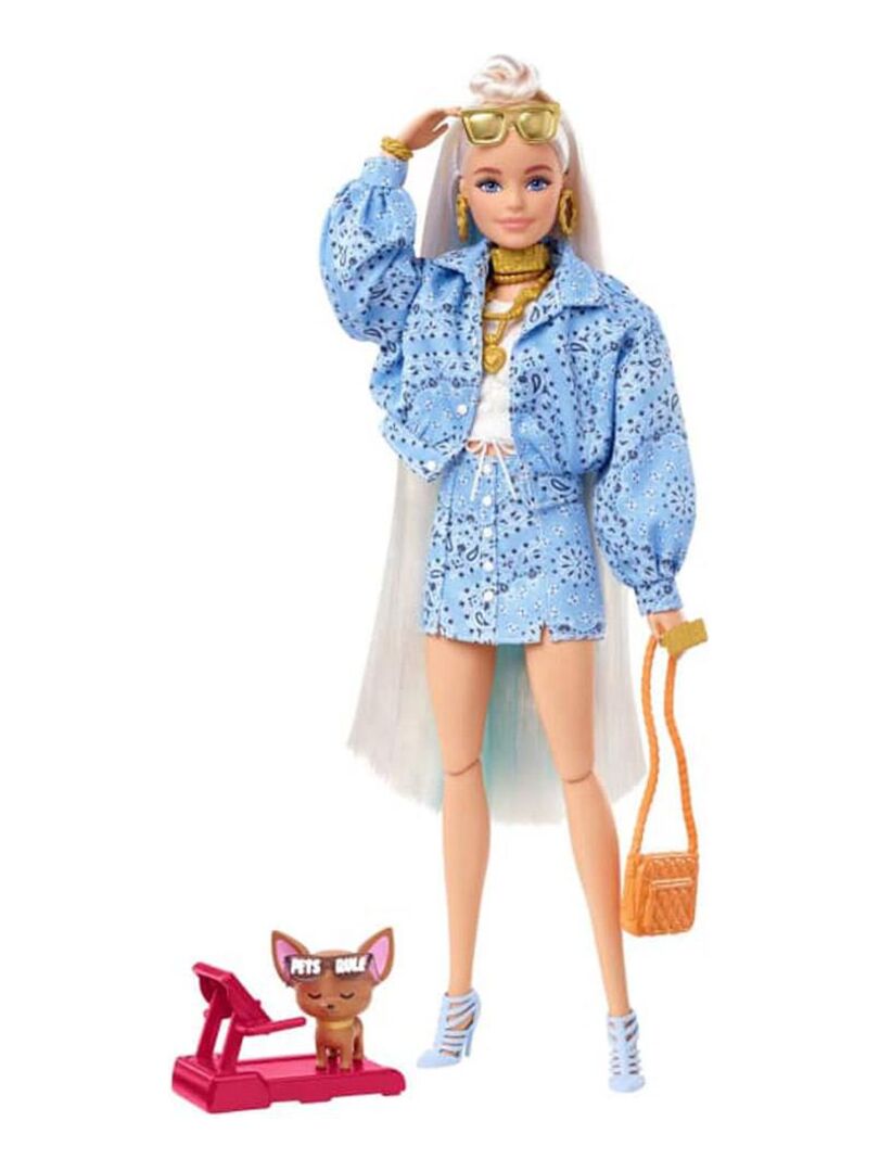 Coffret poupée Barbie Voyage avec chiot, valise et plus de 10 accessoires 