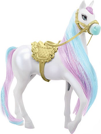 Poupée princesse avec cheval et accessoires +3 ans dreameez
