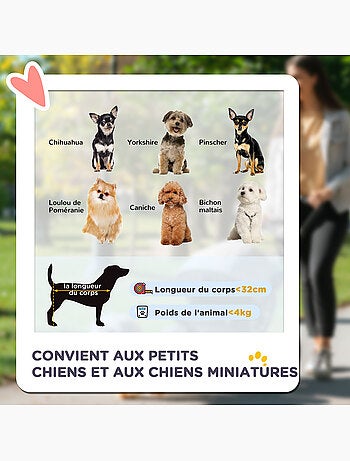 Poussette buggy pliable chien chat panier rangement 4 roues