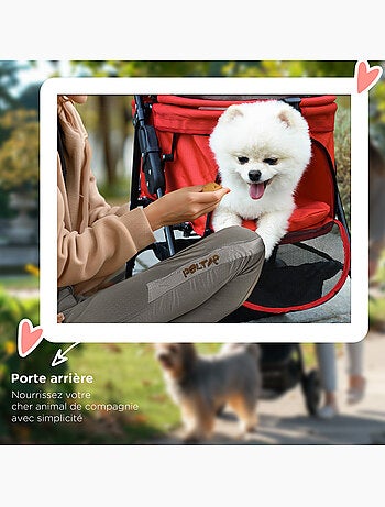 Poussette buggy pliable chien chat panier rangement 4 roues