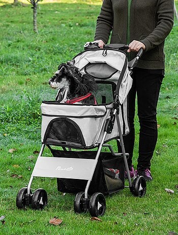 Poussette buggy pliable pour chien