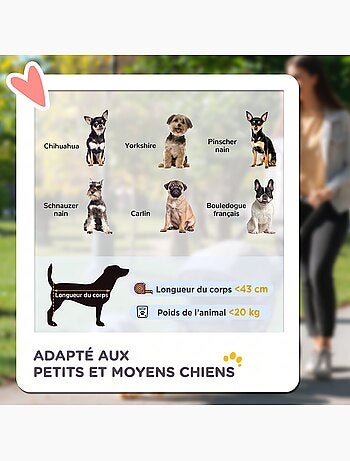 Poussette buggy pour chien pliable 3 grandes roues vert