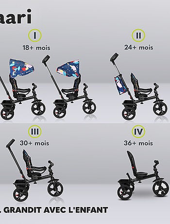 Poussette et tricycle bébé LIONELO Haari - Jusqu'à 25 Kg - Siège réversible - Panier et Sac inclus