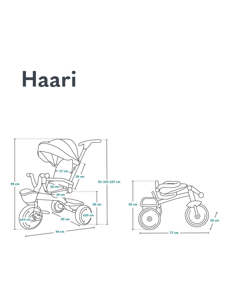 Poussette et tricycle bébé LIONELO Haari - Jusqu'à 25 Kg - Siège réversible - Panier et Sac inclus Multicolore - Kiabi