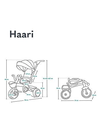 Poussette et tricycle bébé LIONELO Haari - Jusqu'à 25 Kg - Siège réversible - Panier et Sac inclus