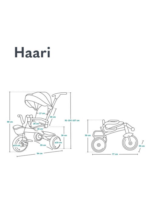 Poussette et tricycle bébé LIONELO Haari - Jusqu'à 25 Kg - Siège réversible - Panier et Sac inclus - Kiabi