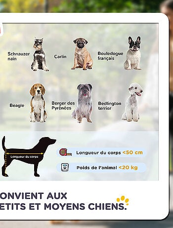 Poussette pliable chien chat 4 roues avec coussin