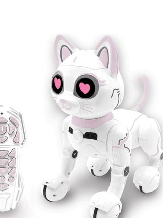 Power Kitty - Chat robot tactile programmable