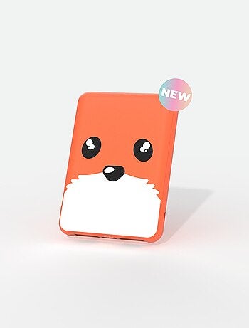 Power Renard 5 000mAh