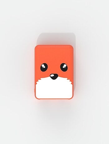 Power Renard 5 000mAh