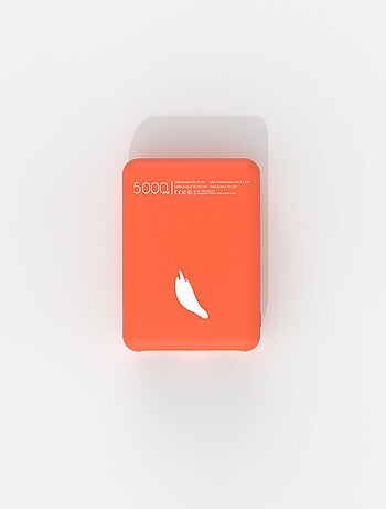 Power Renard 5 000mAh