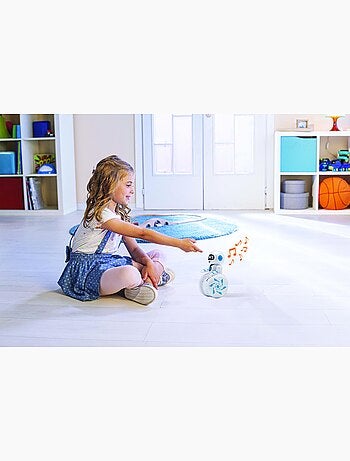 Powerman® roller - mini robot culbuto