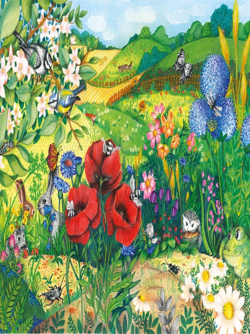 Prairie en fleurs - Kiabi