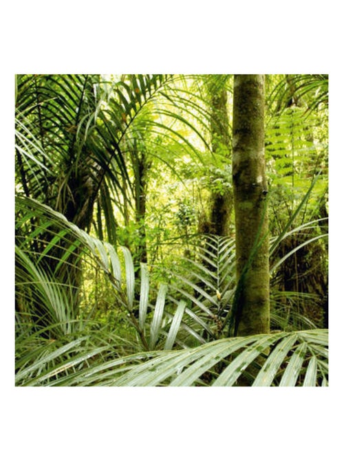 Prairie, photo murale intissée, 360x270 cm, 4 parts - Kiabi