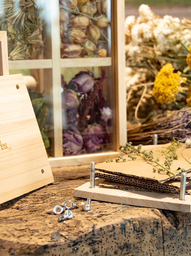 Presse à fleurs et herbes Beige - Kiabi