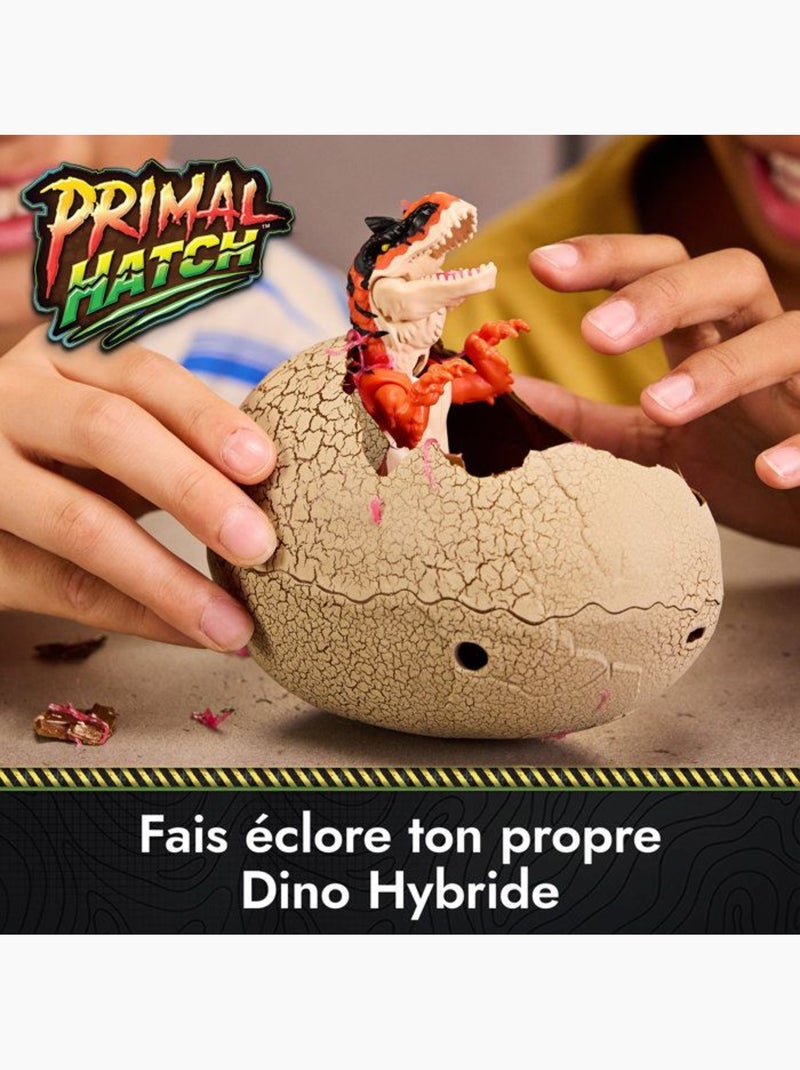 Primal hatch - oeuf de dinosaure a faire eclore Jaune - Kiabi