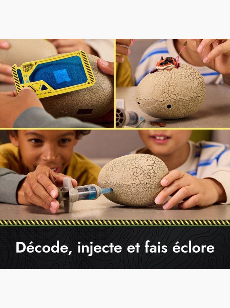 Primal hatch - oeuf de dinosaure a faire eclore Jaune - Kiabi