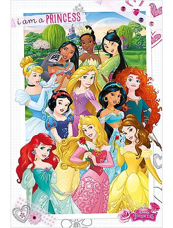 Princesse Disney - Poster motif/style Longue AM A PRINCESS