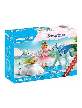 Princesse et poulain ailé, nuage et accessoires