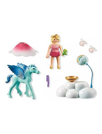 Princesse et poulain ailé, nuage et accessoires