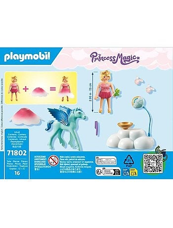 Princesse et poulain ailé, nuage et accessoires