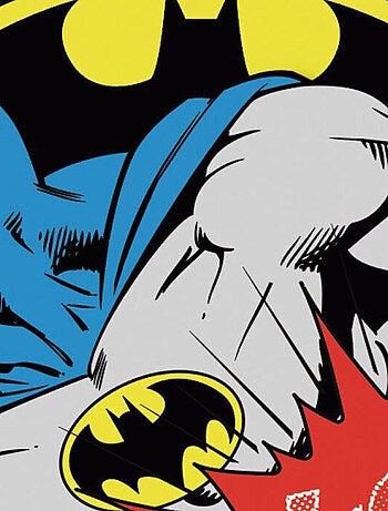 Protecteurs Solaires Pour Fenêtres - Batman - 45x36 cm