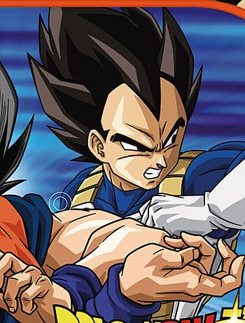 Protecteurs Solaires Pour Fenêtres - Dragon Ball Z - 45x36 cm