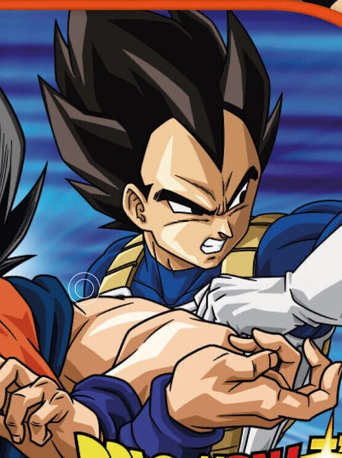 Protecteurs Solaires Pour Fenêtres - Dragon Ball Z - 45x36 cm - Kiabi