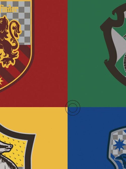 Protecteurs Solaires Pour Fenêtres - Harry Potter - 45x36 cm - Kiabi