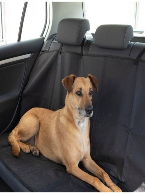 Protection de siège de voiture pour chien - Kiabi
