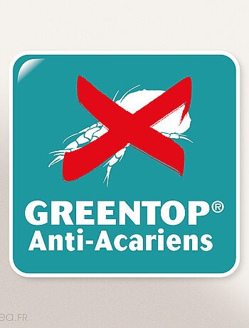 Protège matelas absorbant ANTONIN lit articulé TPR Bonnet de 23 cm