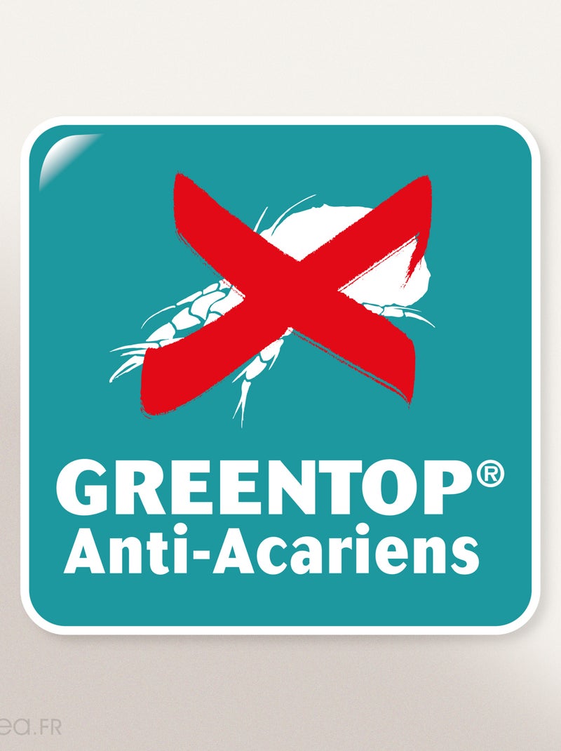 Protège matelas absorbant ANTONIN lit articulé TPR Bonnet de 30 cm Blanc - Kiabi