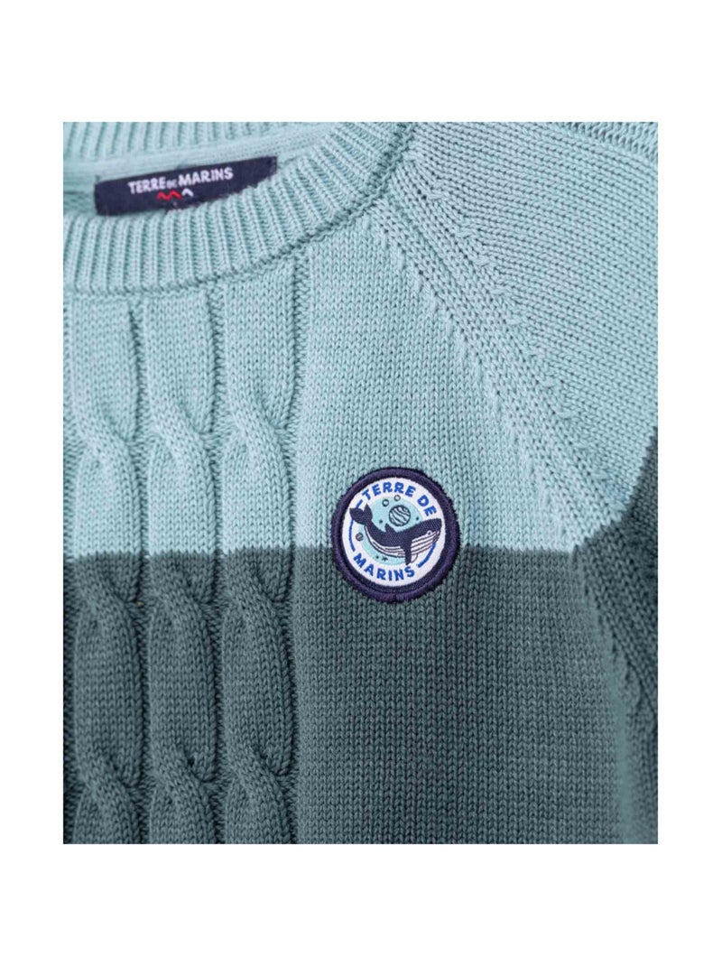 Pull - Terre de Marins Bleu canard - Kiabi