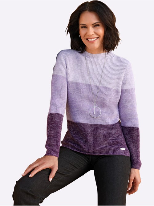 Pull à Col Montant 50% Coton - Taille Standard - Witt - Kiabi Pull à Col Montant 50% Coton - Taille Standard - Witt - Kiabi