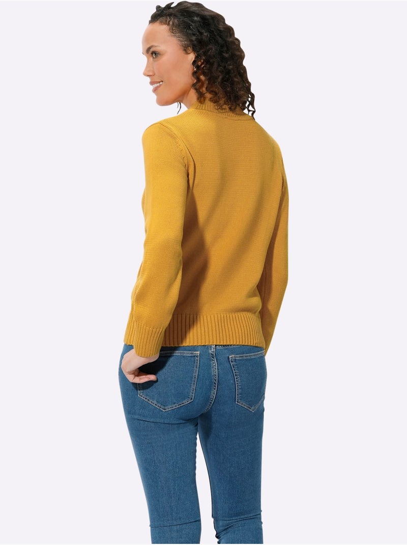 Pull à col montant avec coton - taille standard - witt Jaune - Kiabi