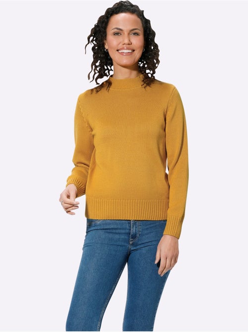Pull à col montant avec coton - taille standard - witt - Kiabi