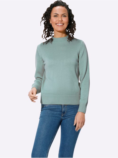 Pull à Col Montant Avec Coton - Taille Standard - Witt - Kiabi Pull à Col Montant Avec Coton - Taille Standard - Witt - Kiabi