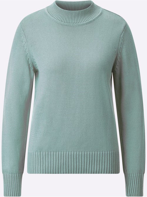 Pull à Col Montant Avec Coton - Taille Standard - Witt - Kiabi Pull à Col Montant Avec Coton - Taille Standard - Witt - Kiabi