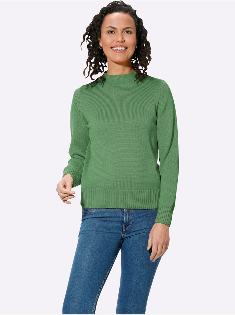 Pull à Col Montant Avec Coton - Taille Standard - Witt Vert clair - Kiabi