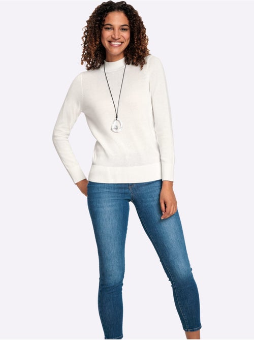 Pull à Col Montant Pur Coton - Taille Standard - Witt - Kiabi Pull à Col Montant Pur Coton - Taille Standard - Witt - Kiabi