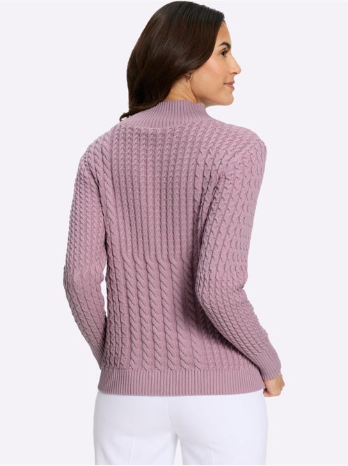 Pull à Col Montant Pur Coton - Taille Standard - Witt - Kiabi Pull à Col Montant Pur Coton - Taille Standard - Witt - Kiabi