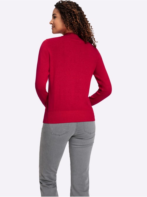Pull à Col Montant Pur Coton - Taille Standard - Witt - Kiabi Pull à Col Montant Pur Coton - Taille Standard - Witt - Kiabi