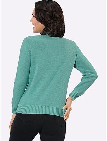 Pull à col montant pur coton - taille standard - witt
