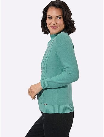 Pull à col montant pur coton - taille standard - witt