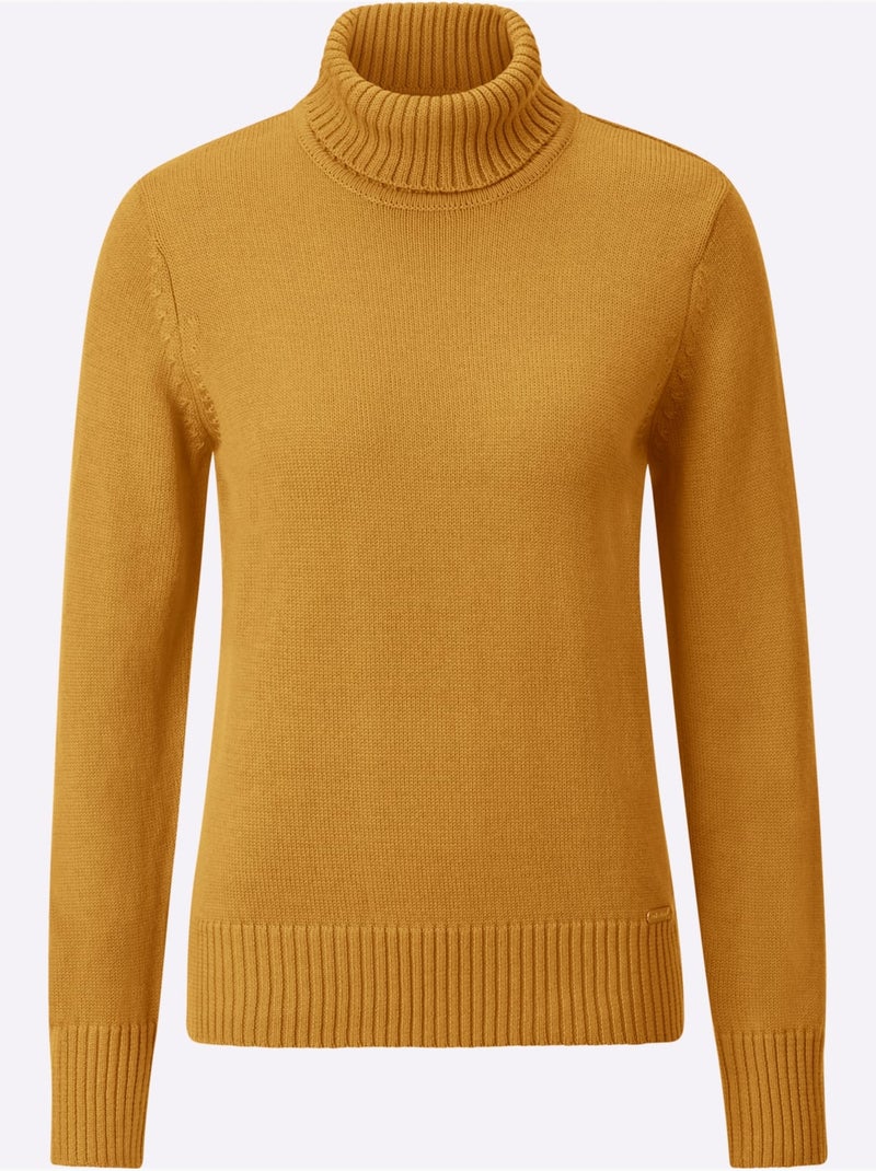 Pull à col roulé 50% coton - taille standard - witt Jaune - Kiabi