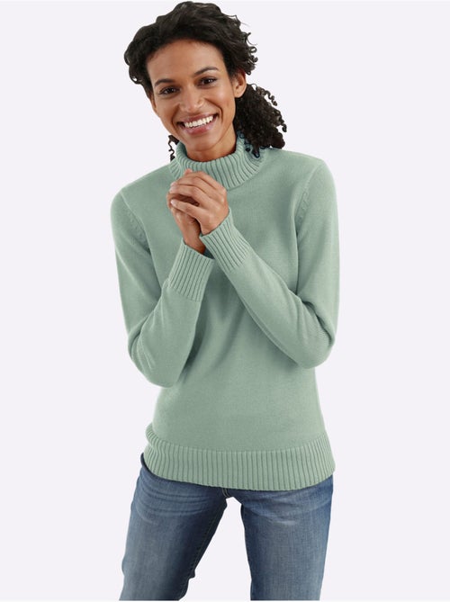 Pull à col roulé 50% coton - taille standard - witt - Kiabi