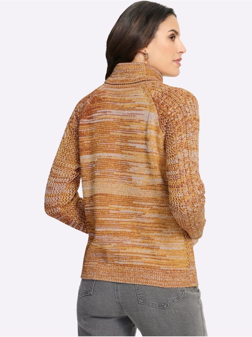 Pull à Col Roulé 50% Coton - Taille Standard - Witt - Kiabi Pull à Col Roulé 50% Coton - Taille Standard - Witt - Kiabi
