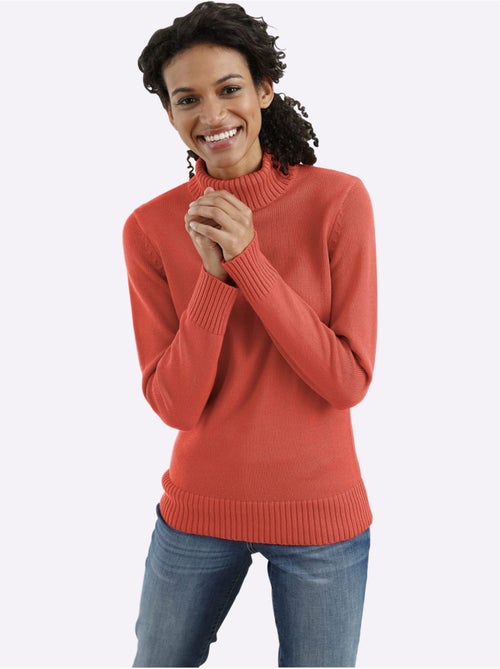 Pull à col roulé 50% coton - taille standard - witt - Kiabi