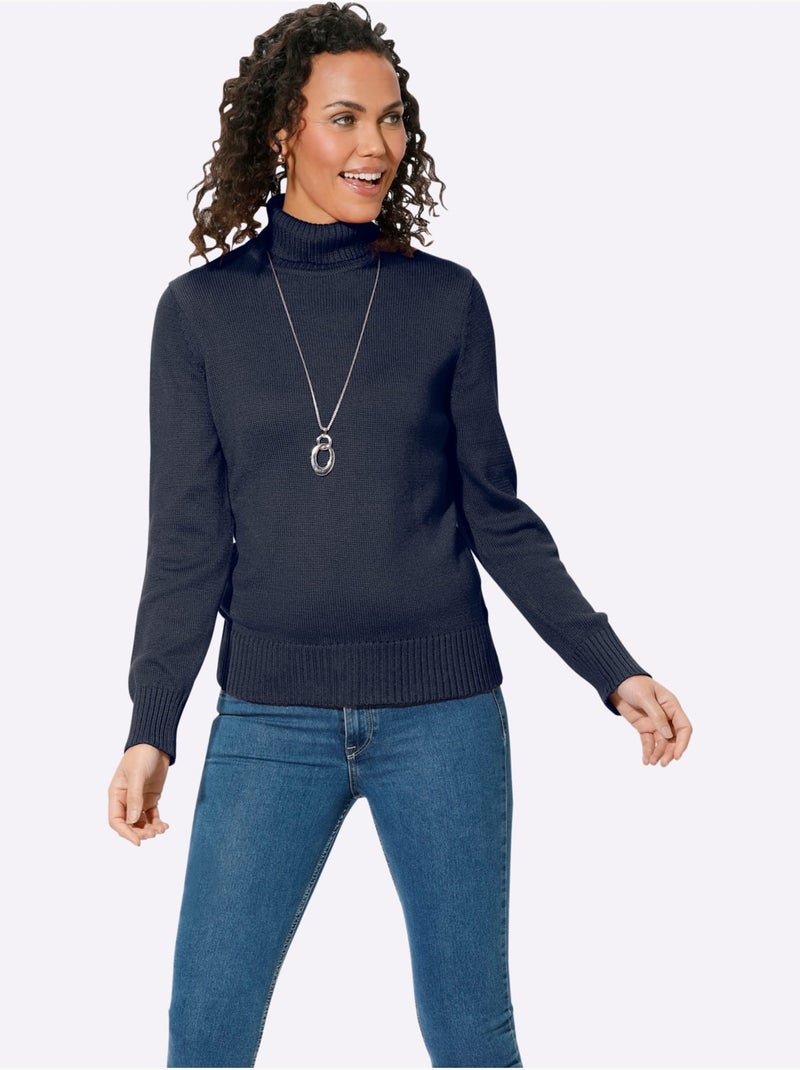 Pull à Col Roulé Avec Coton - Taille Standard - Witt Bleu marine - Kiabi